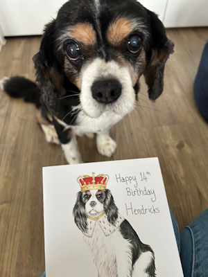 Hendricks-14th Birthday-2025_11_27-1.jpg